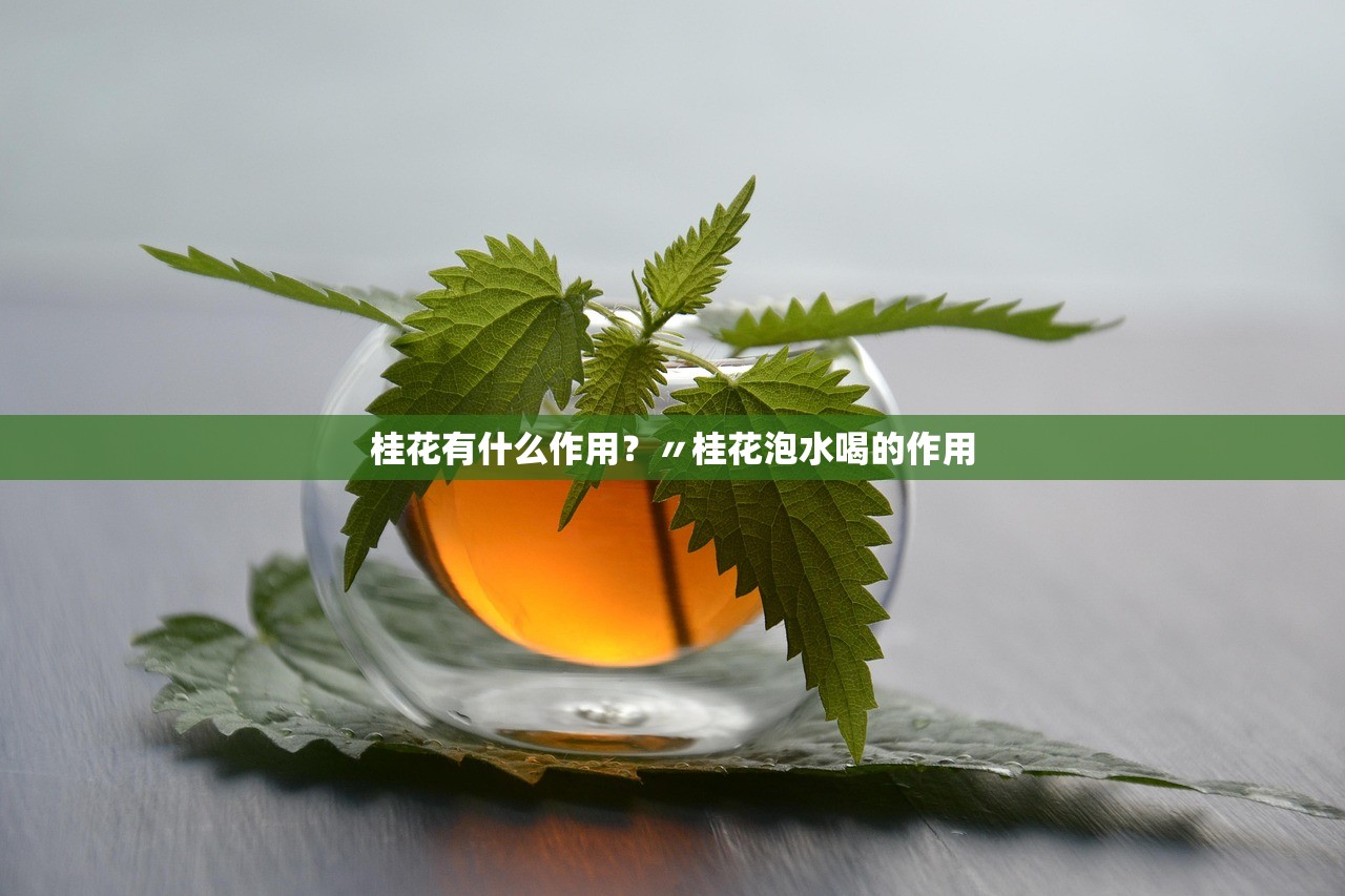桂花有什么作用？〃桂花泡水喝的作用