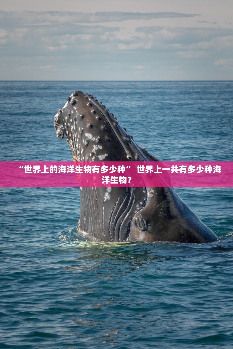 “世界上的海洋生物有多少种	” 世界上一共有多少种海洋生物？