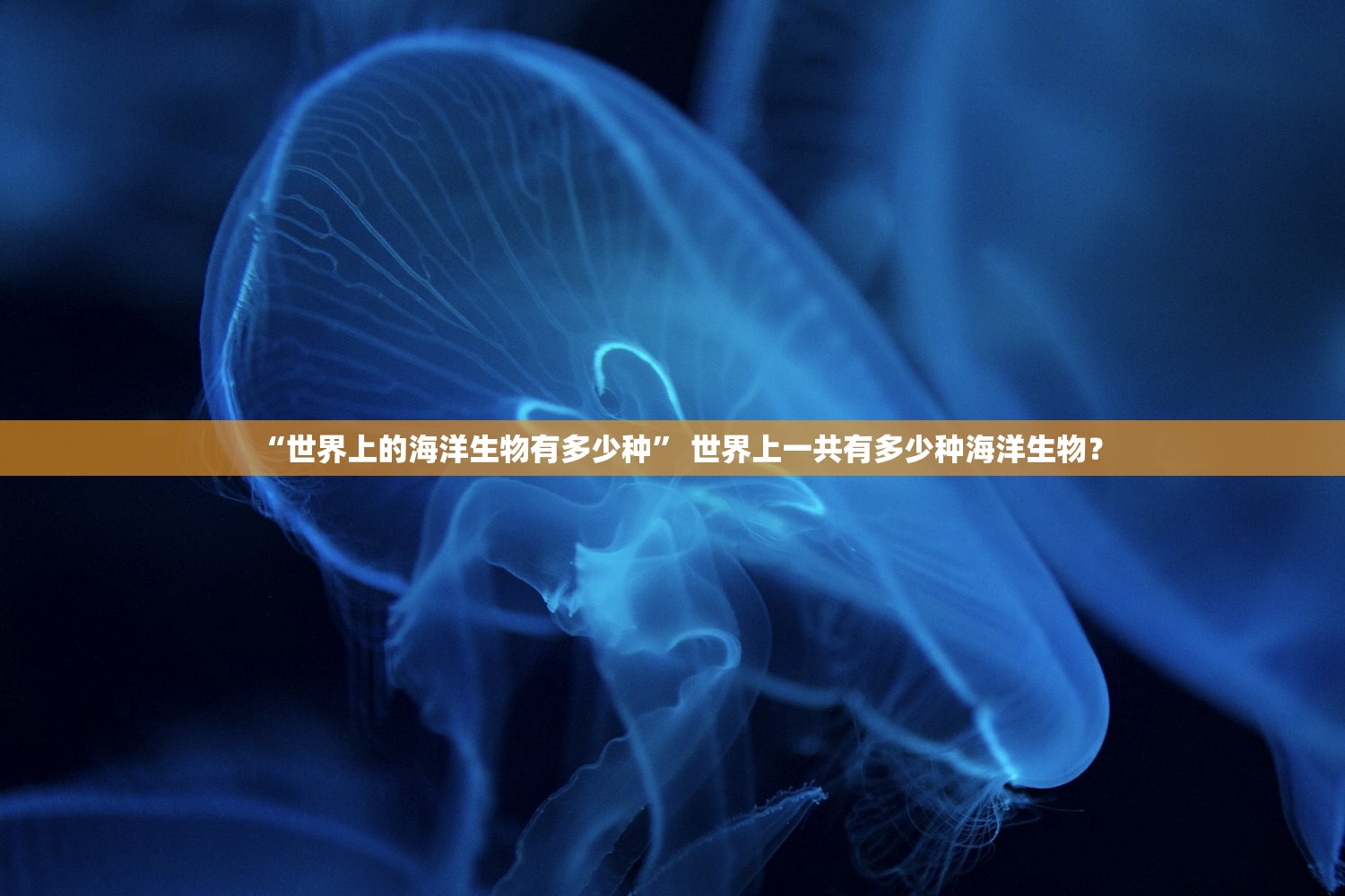 “世界上的海洋生物有多少种” 世界上一共有多少种海洋生物？