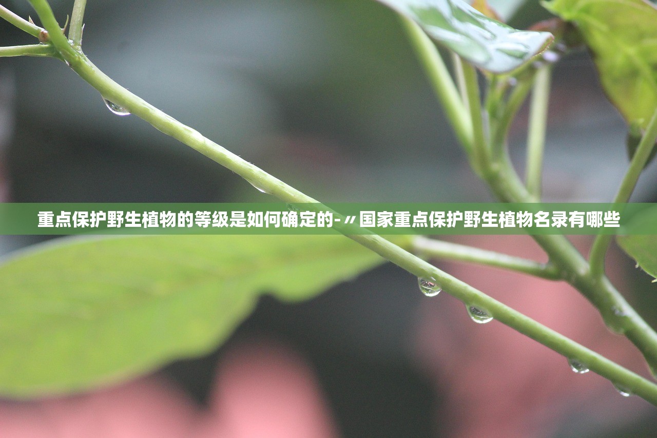重点保护野生植物的等级是如何确定的-〃国家重点保护野生植物名录有哪些