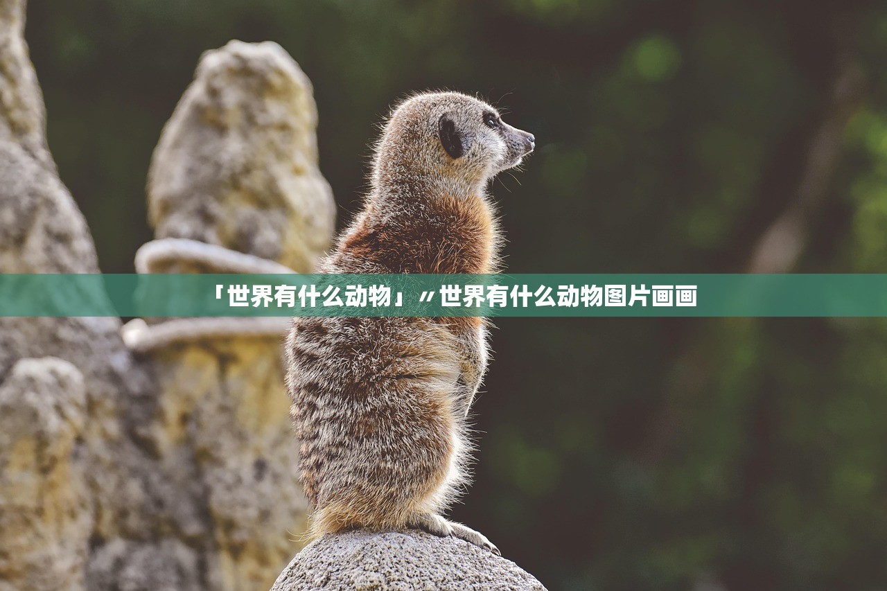 「世界有什么动物」〃世界有什么动物图片画画