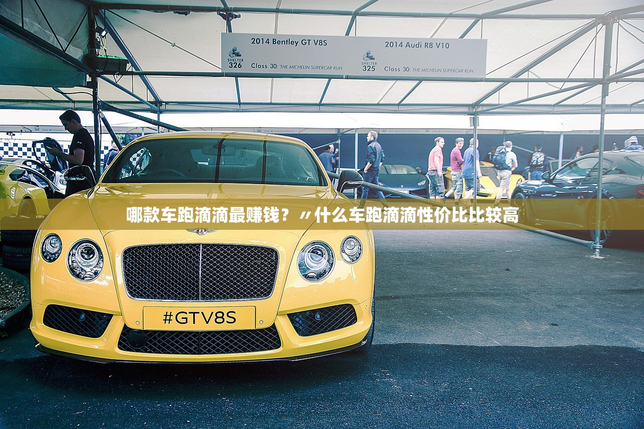哪款车跑滴滴最赚钱？〃什么车跑滴滴性价比比较高
