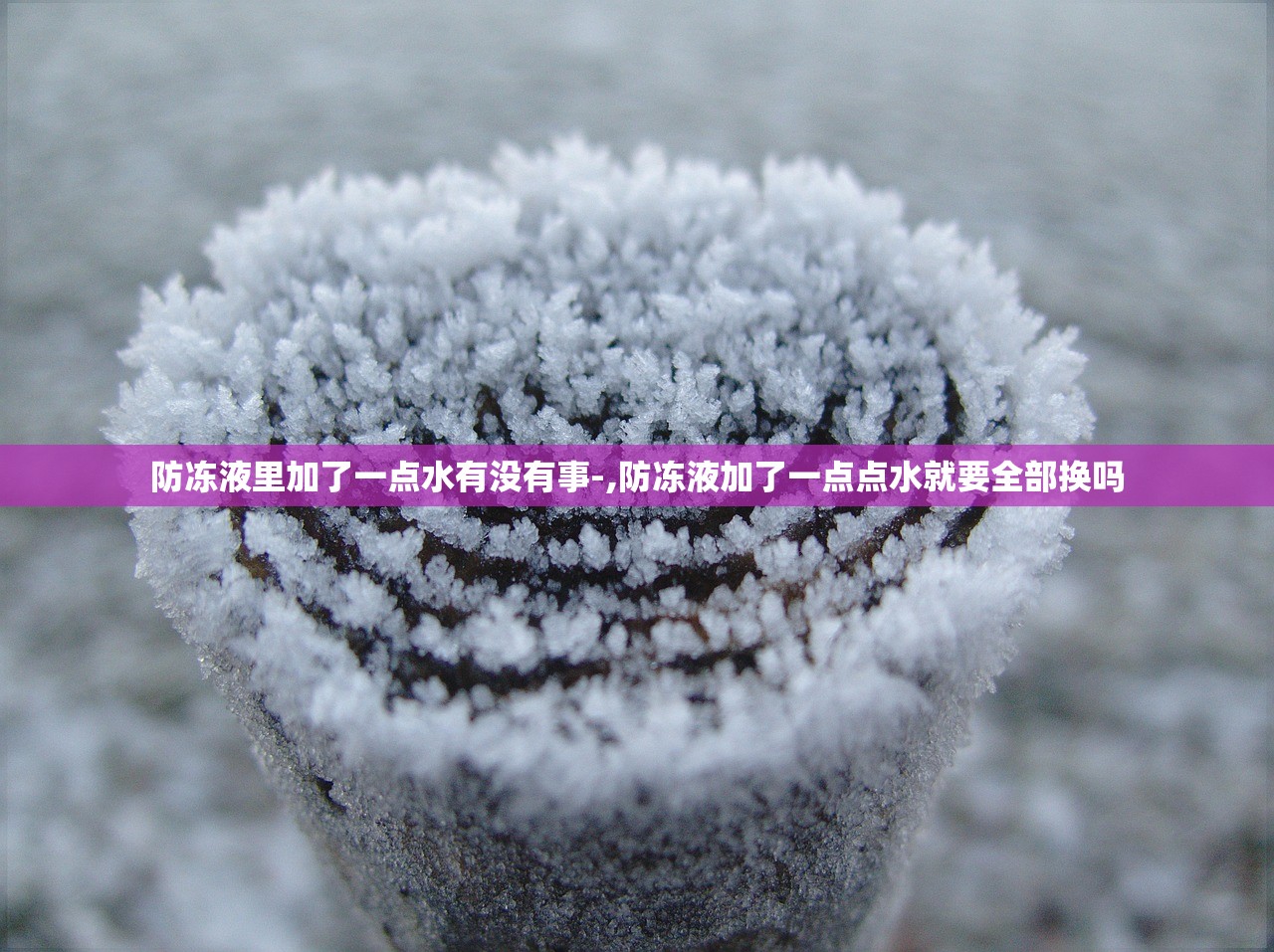 防冻液里加了一点水有没有事-,防冻液加了一点点水就要全部换吗 防冻液里加了一点水有没有事-,防冻液加了一点点水就要全部换吗