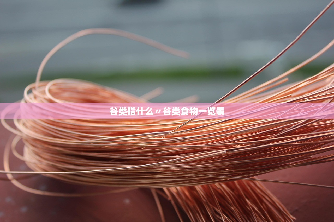 谷类指什么〃谷类食物一览表 谷类指什么〃谷类食物一览表