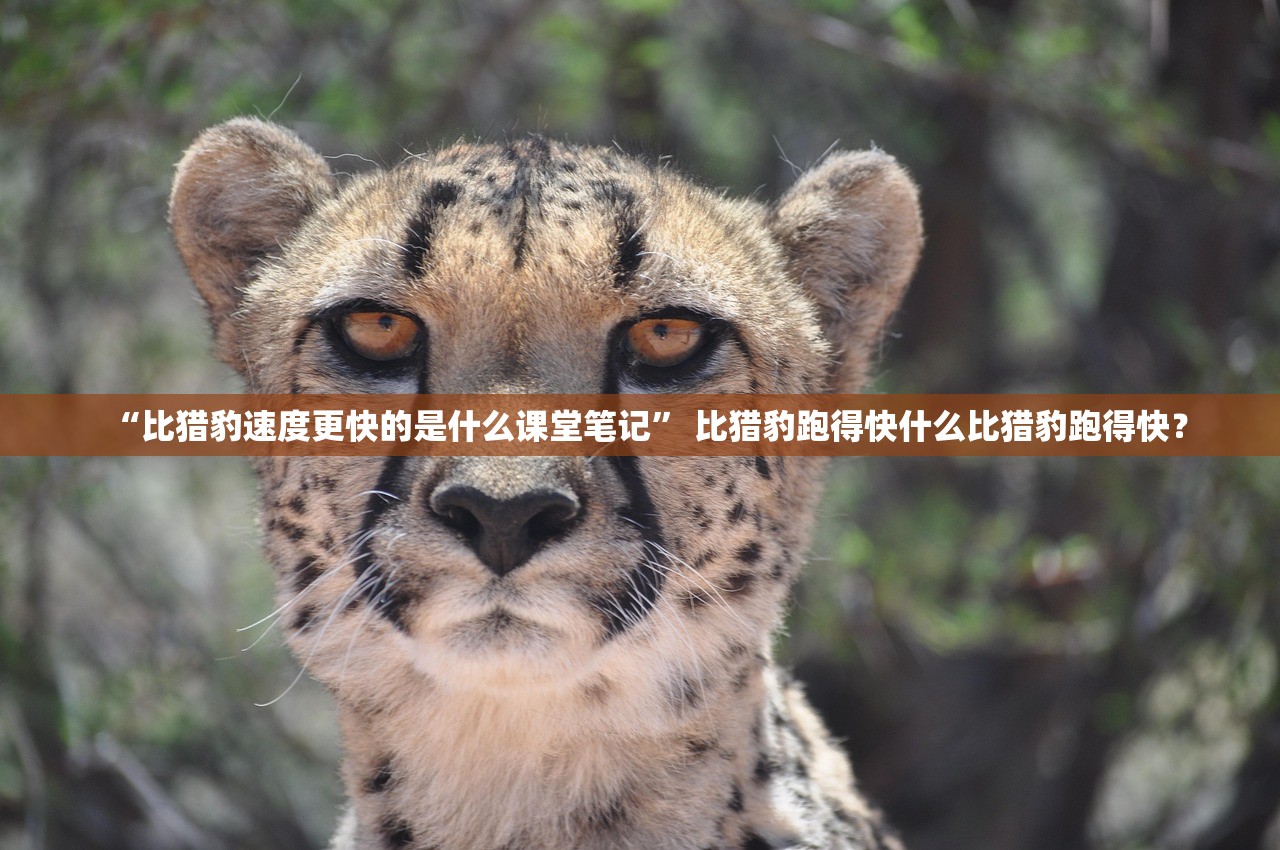 “比猎豹速度更快的是什么课堂笔记” 比猎豹跑得快什么比猎豹跑得快？