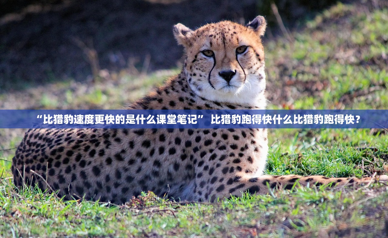 “比猎豹速度更快的是什么课堂笔记” 比猎豹跑得快什么比猎豹跑得快？