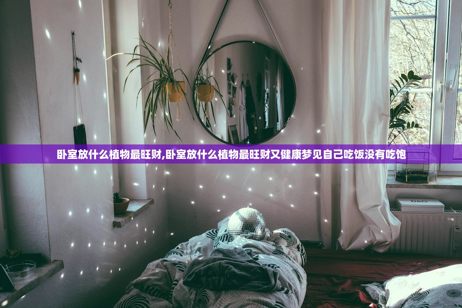 卧室放什么植物最旺财,卧室放什么植物最旺财又健康梦见自己吃饭没有吃饱