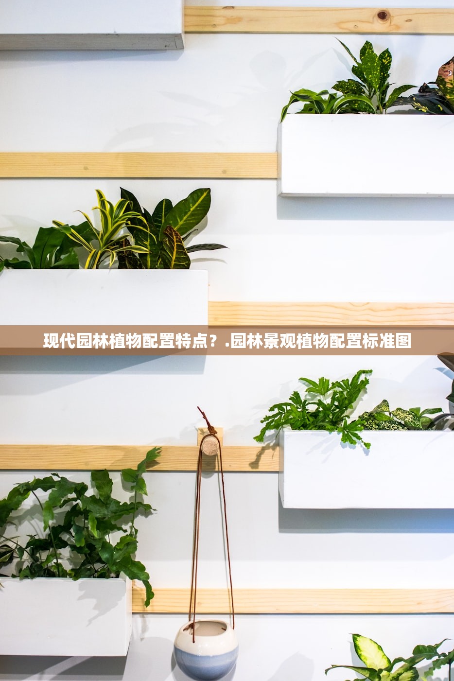 现代园林植物配置特点？.园林景观植物配置标准图