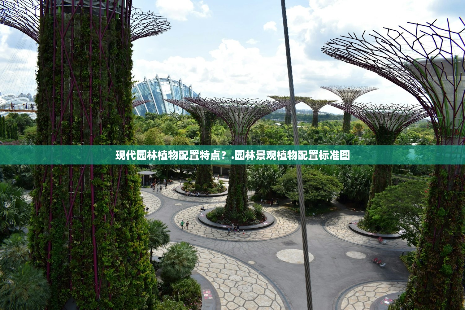 现代园林植物配置特点？.园林景观植物配置标准图