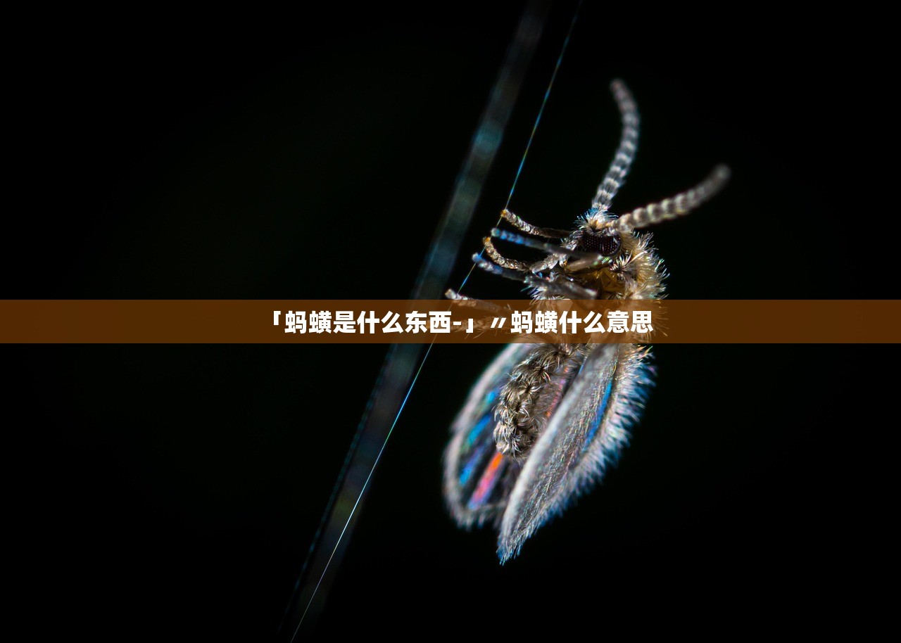 「蚂蟥是什么东西-」〃蚂蟥什么意思
