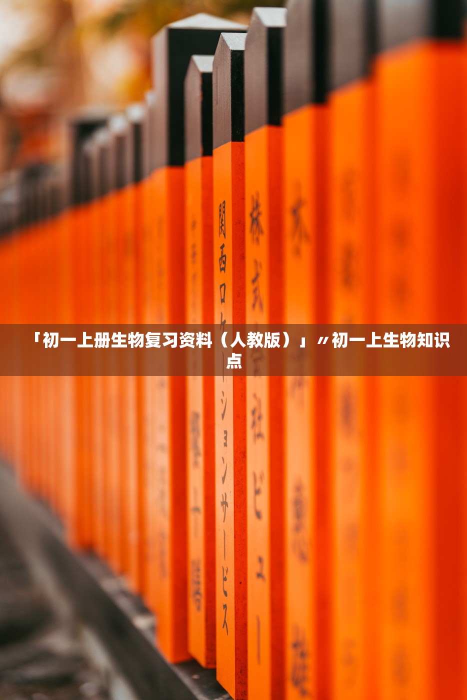「初一上册生物复习资料（人教版）」〃初一上生物知识点