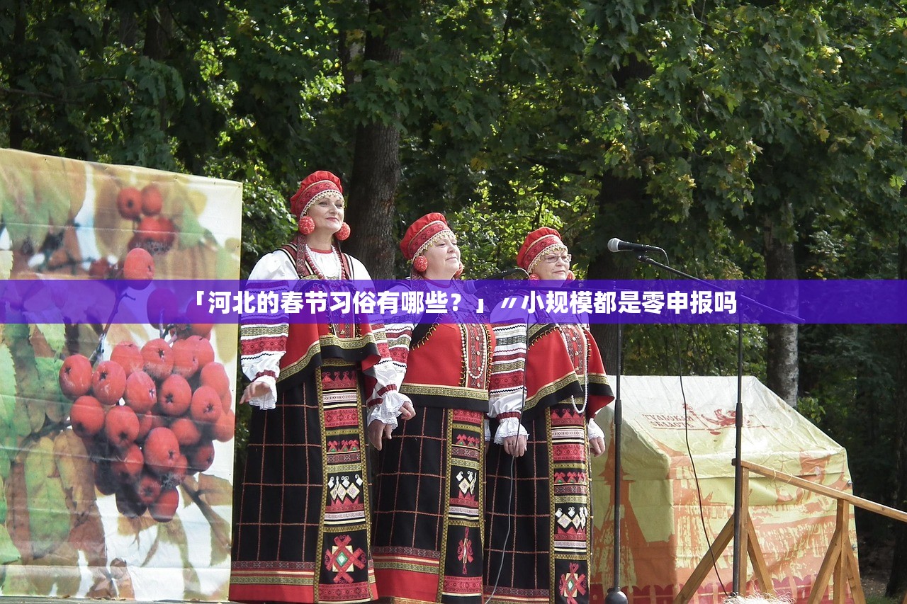 「河北的春节习俗有哪些？」〃小规模都是零申报吗
