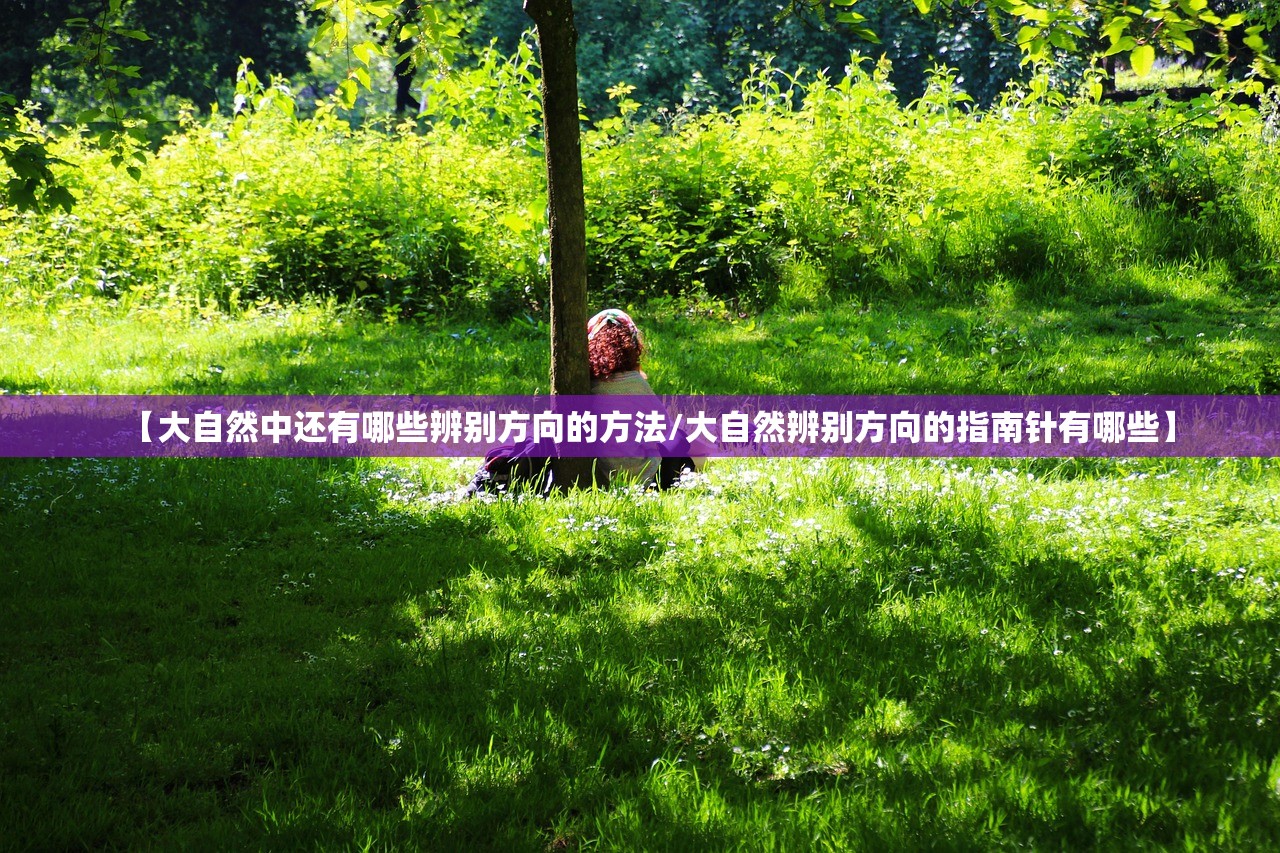 【大自然中还有哪些辨别方向的方法/大自然辨别方向的指南针有哪些】 【大自然中还有哪些辨别方向的方法/大自然辨别方向的指南针有哪些】
