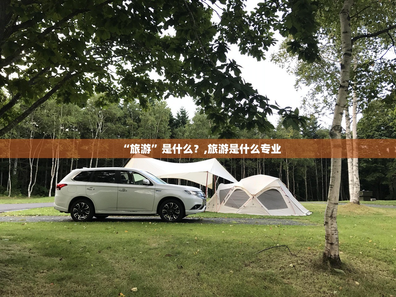 “旅游”是什么？,旅游是什么专业