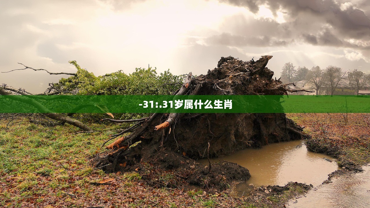 -31:.31岁属什么生肖