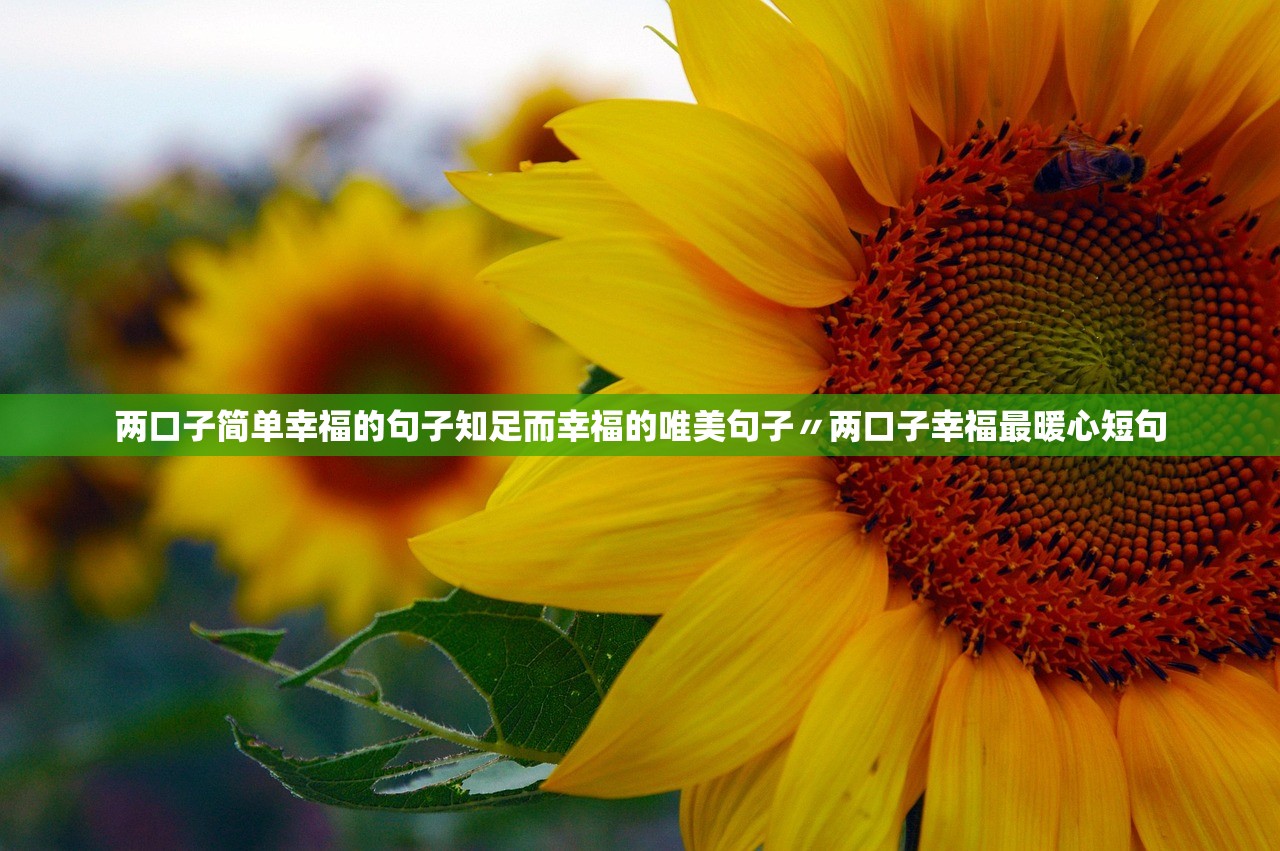 两口子简单幸福的句子知足而幸福的唯美句子〃两口子幸福最暖心短句