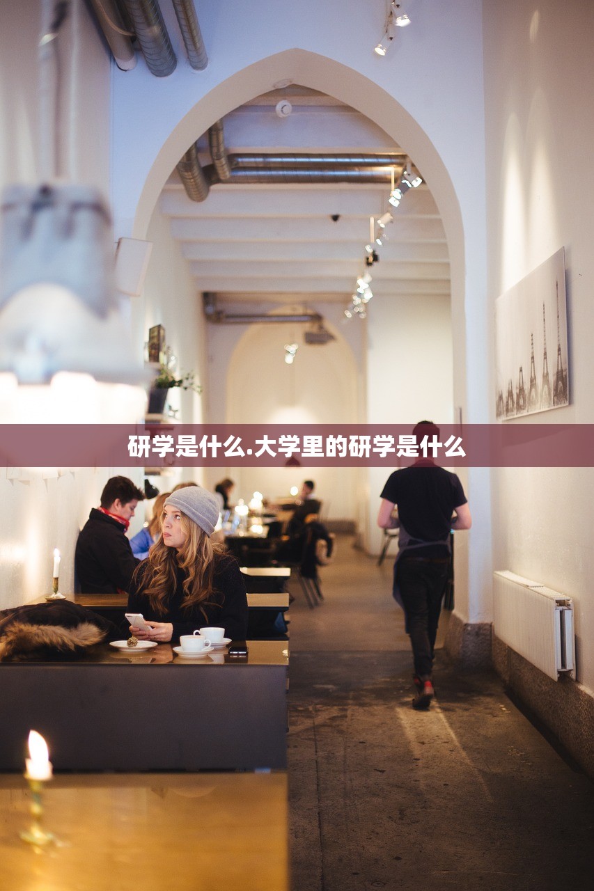 研学是什么.大学里的研学是什么