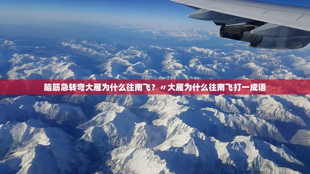 脑筋急转弯大雁为什么往南飞？〃大雁为什么往南飞打一成语