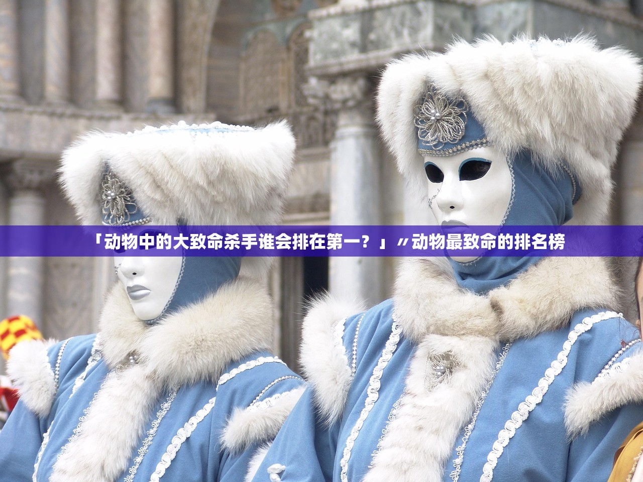 「动物中的大致命杀手谁会排在第一？」〃动物最致命的排名榜