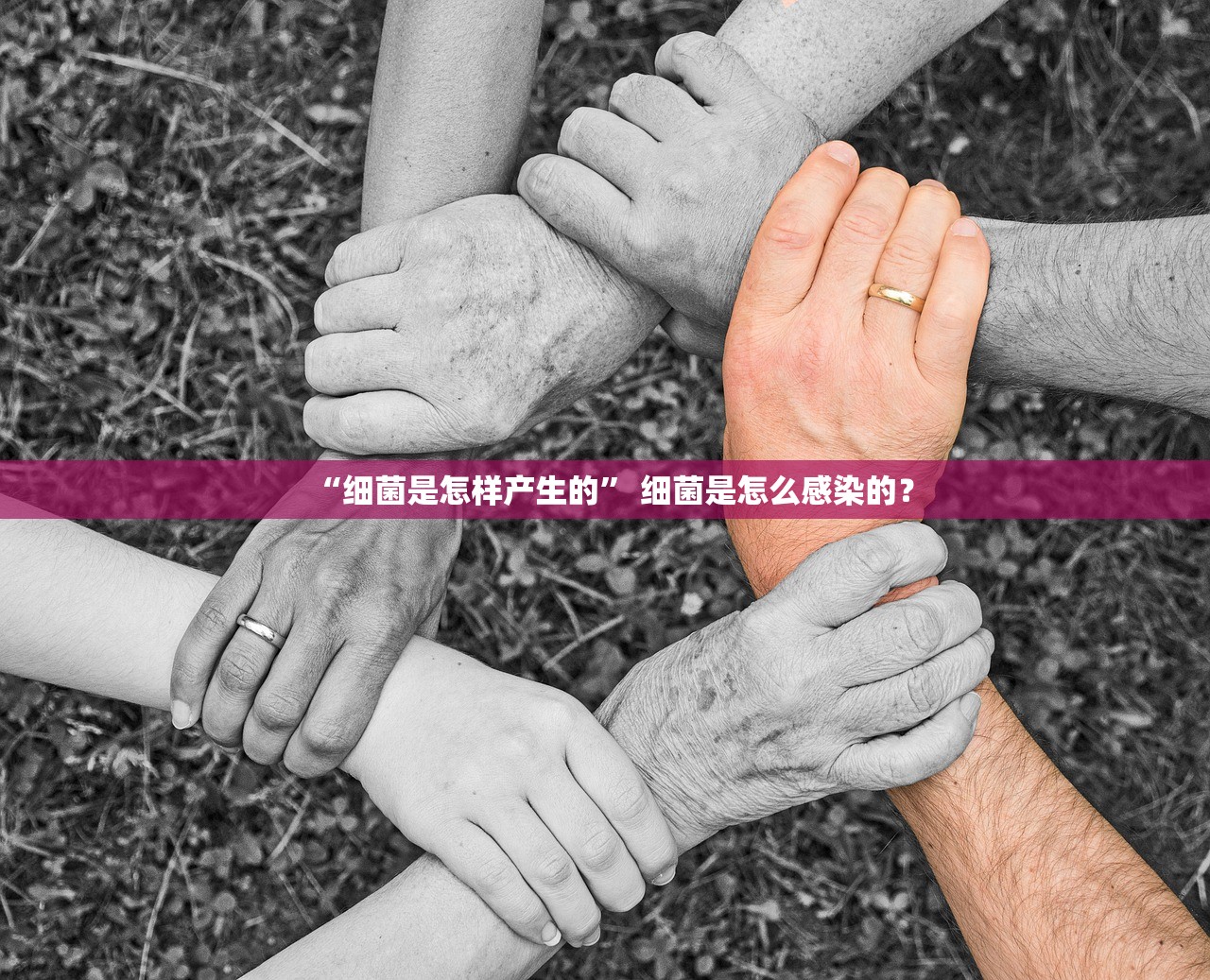 “细菌是怎样产生的” 细菌是怎么感染的？