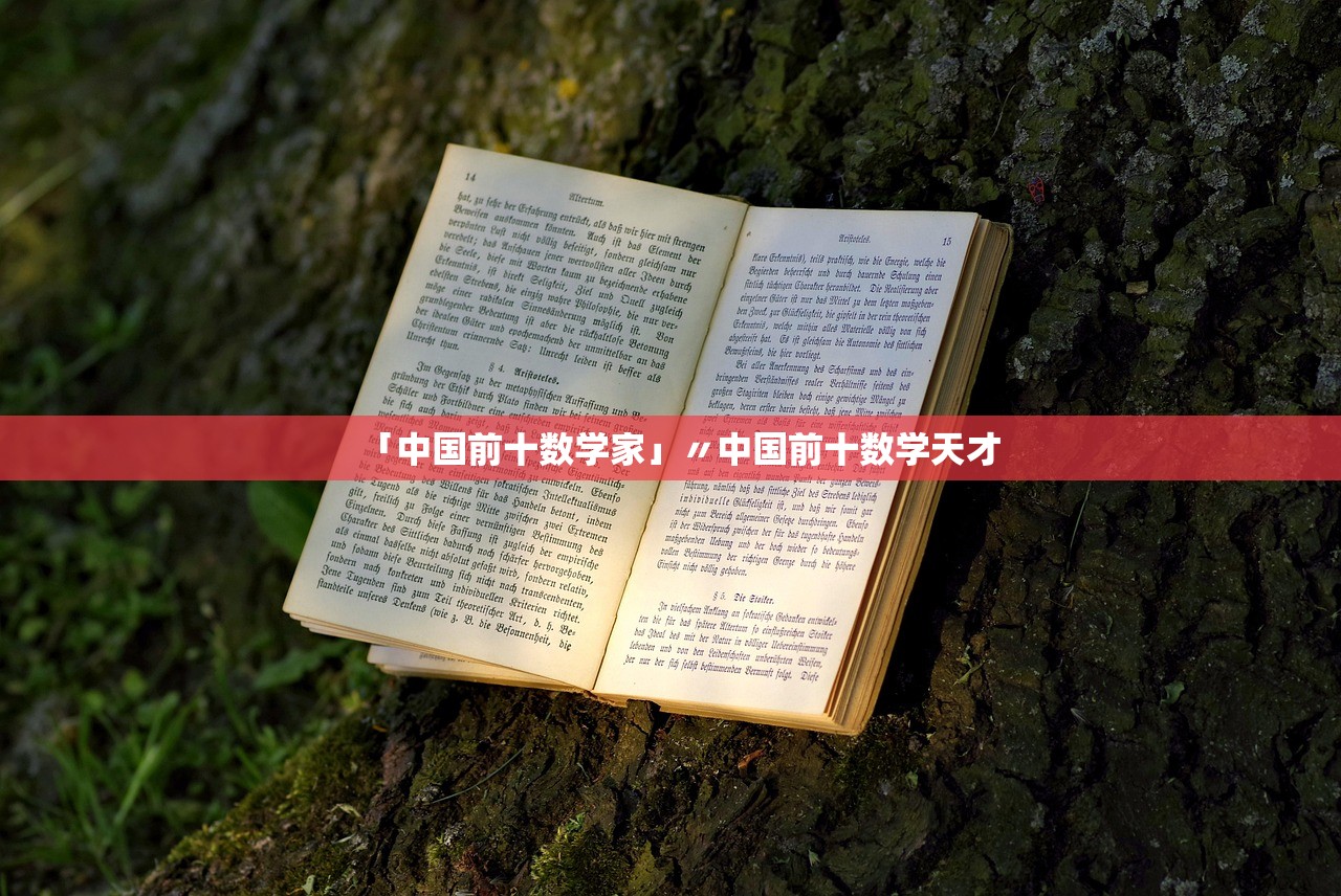 「中国前十数学家」〃中国前十数学天才