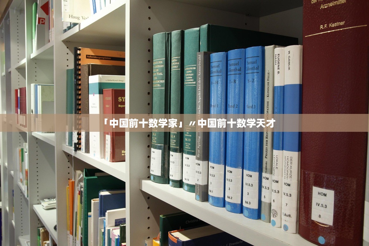「中国前十数学家」〃中国前十数学天才