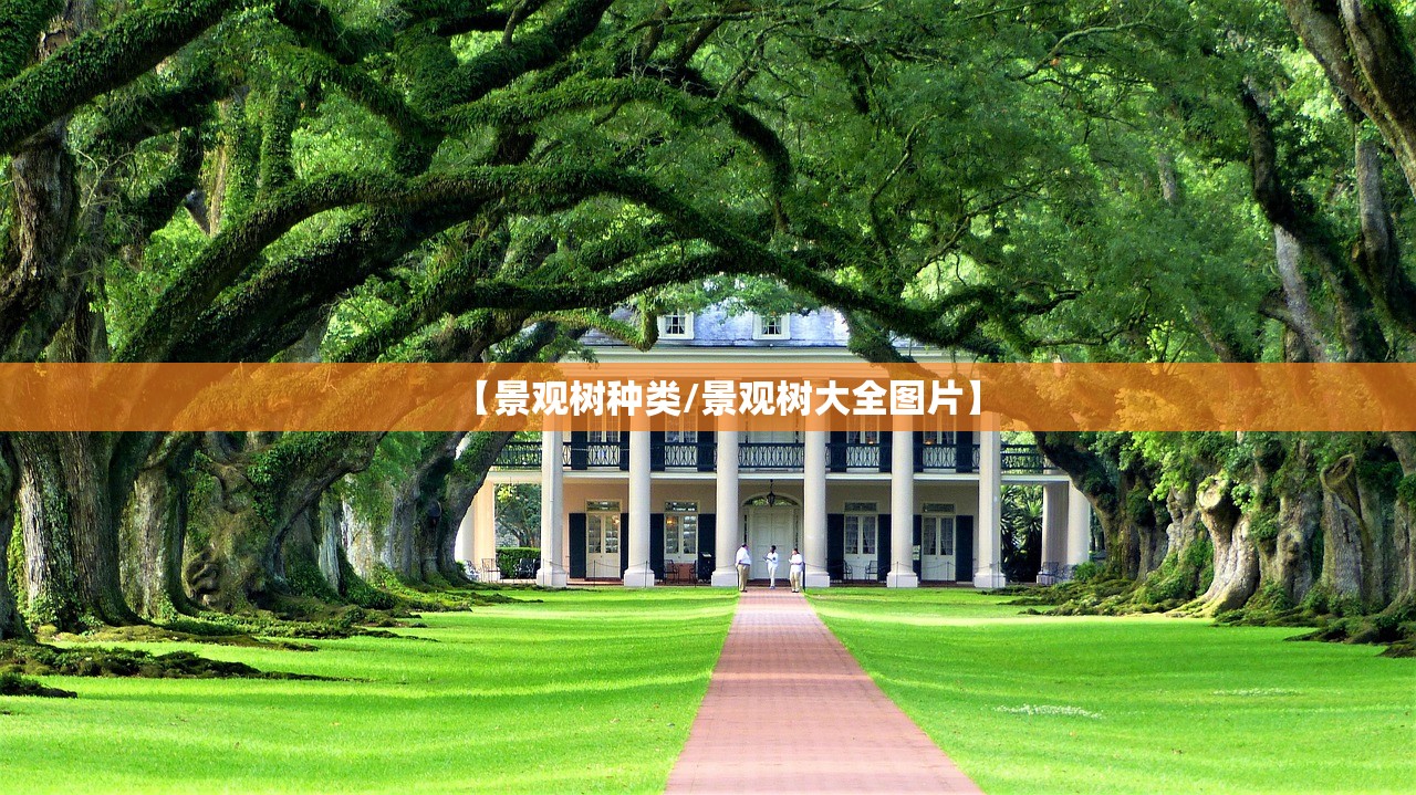 【景观树种类/景观树大全图片】