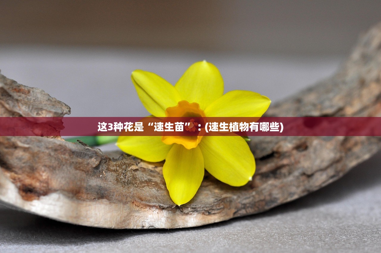 这3种花是“速生苗”︰(速生植物有哪些)
