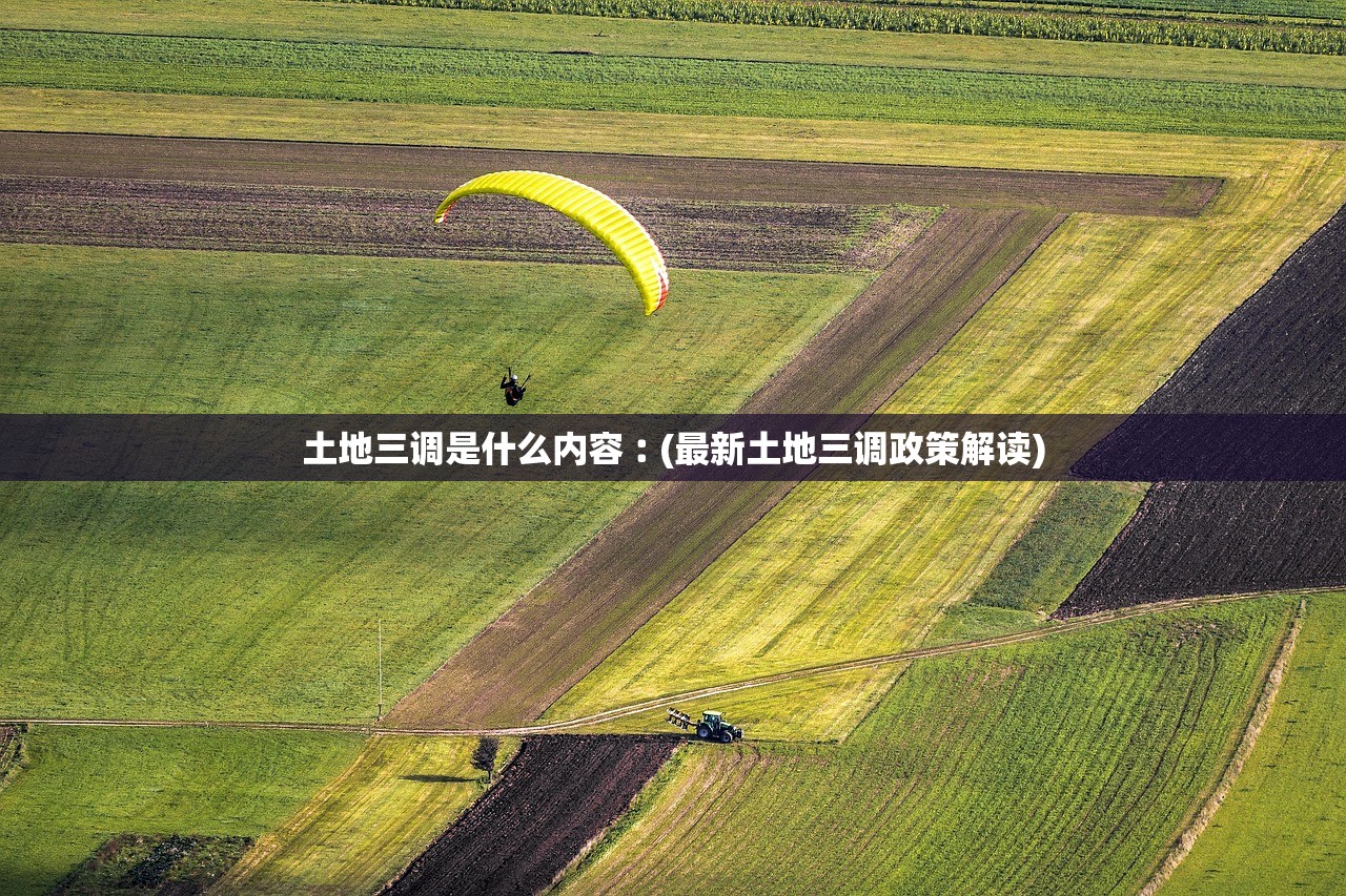 土地三调是什么内容︰(最新土地三调政策解读)