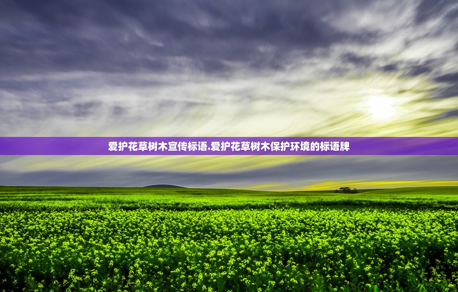 爱护花草树木宣传标语.爱护花草树木保护环境的标语牌 爱护花草树木宣传标语.爱护花草树木保护环境的标语牌
