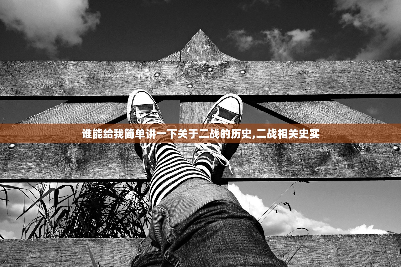 谁能给我简单讲一下关于二战的历史,二战相关史实