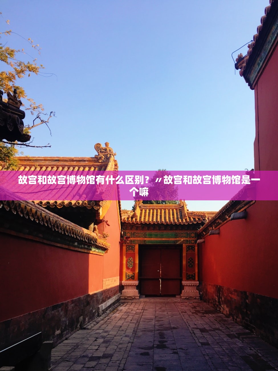 故宫和故宫博物馆有什么区别？〃故宫和故宫博物馆是一个嘛