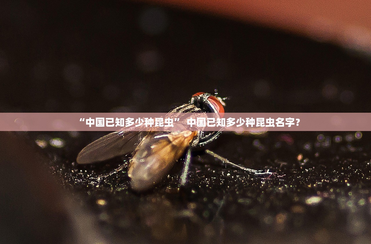 “中国已知多少种昆虫” 中国已知多少种昆虫名字？