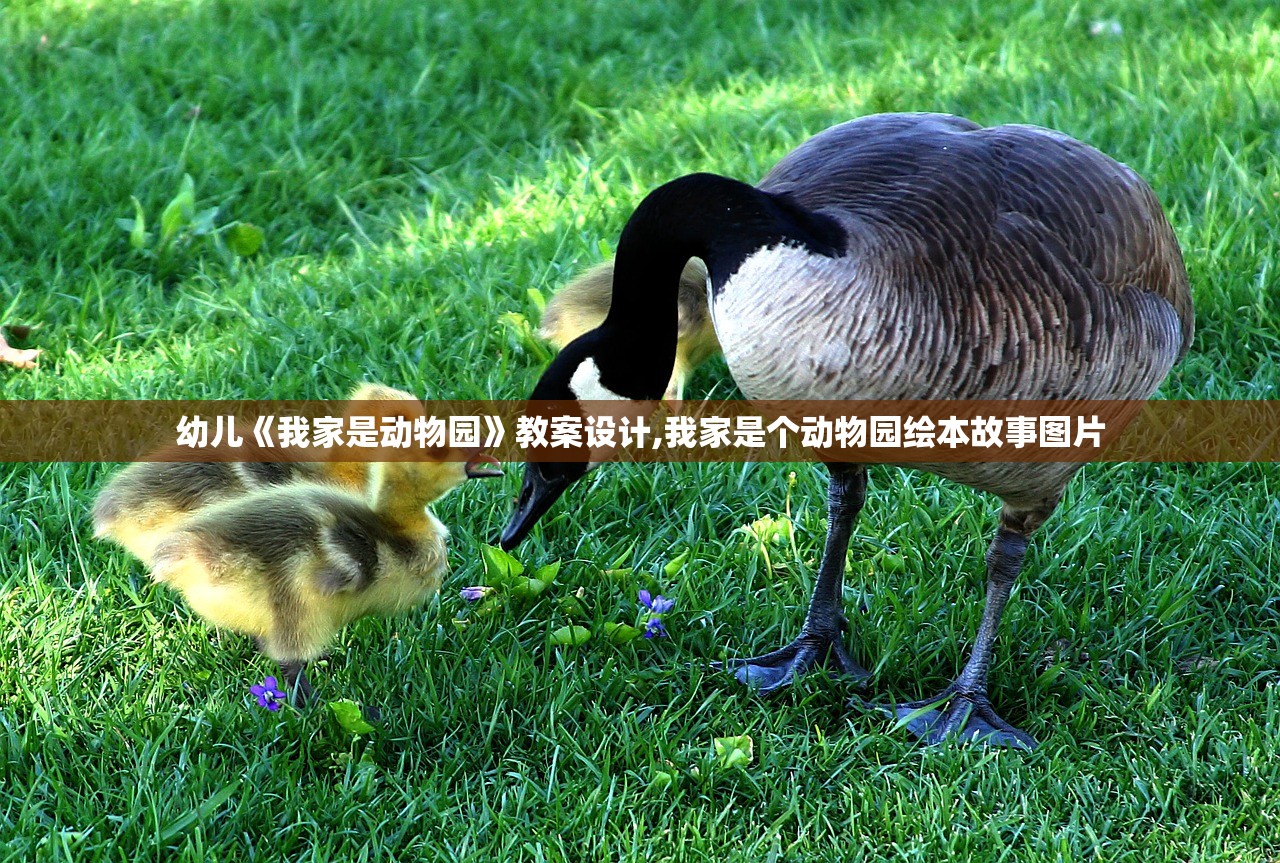 幼儿《我家是动物园》教案设计,我家是个动物园绘本故事图片