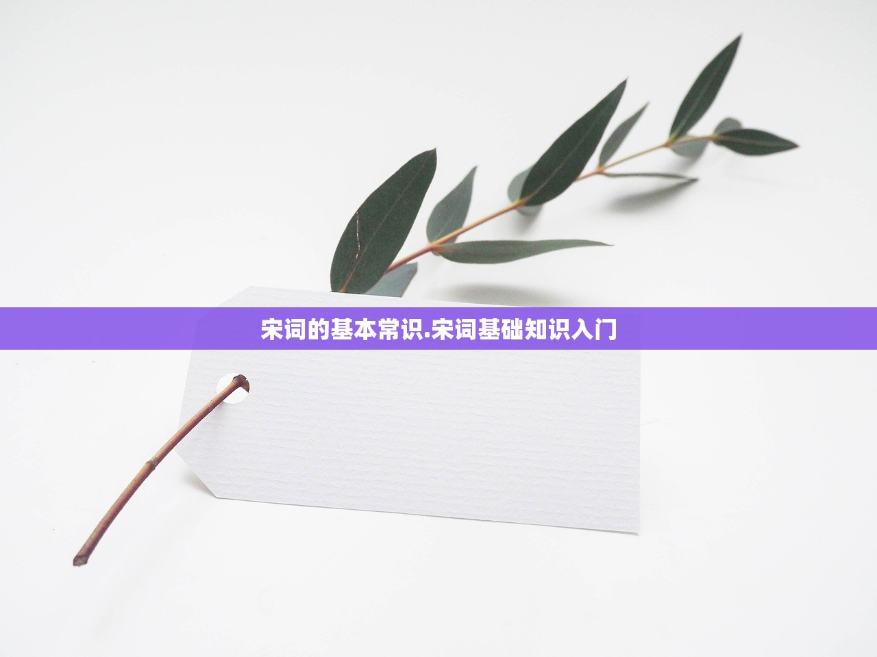 宋词的基本常识.宋词基础知识入门