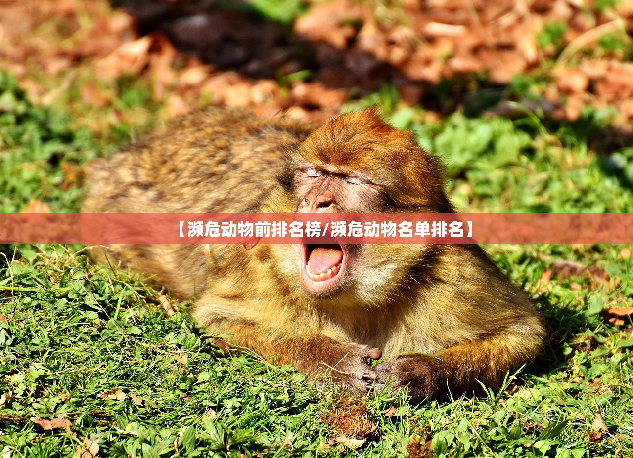 【濒危动物前排名榜/濒危动物名单排名】