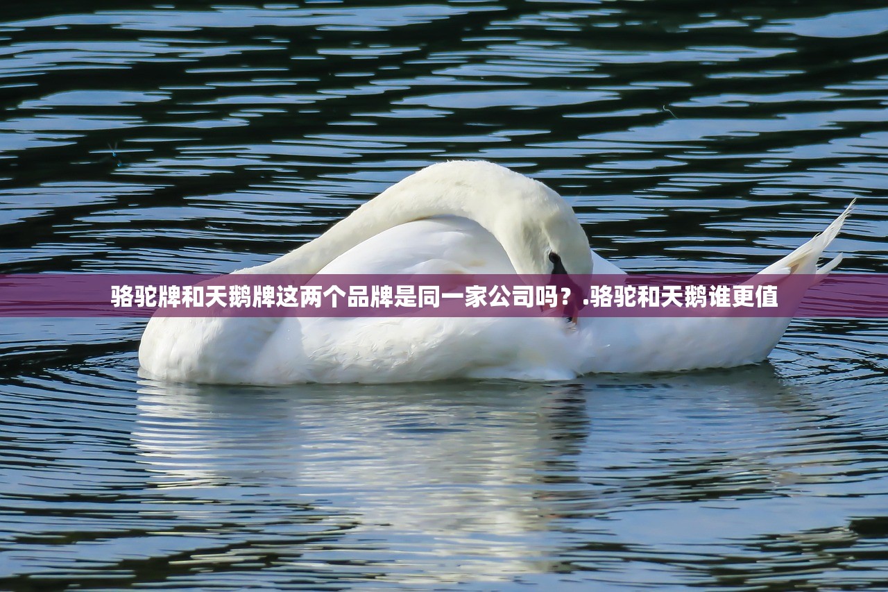 骆驼牌和天鹅牌这两个品牌是同一家公司吗？.骆驼和天鹅谁更值