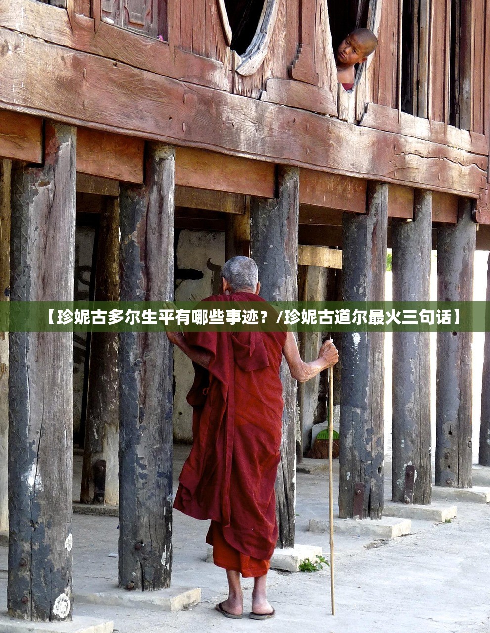 【珍妮古多尔生平有哪些事迹？/珍妮古道尔最火三句话】