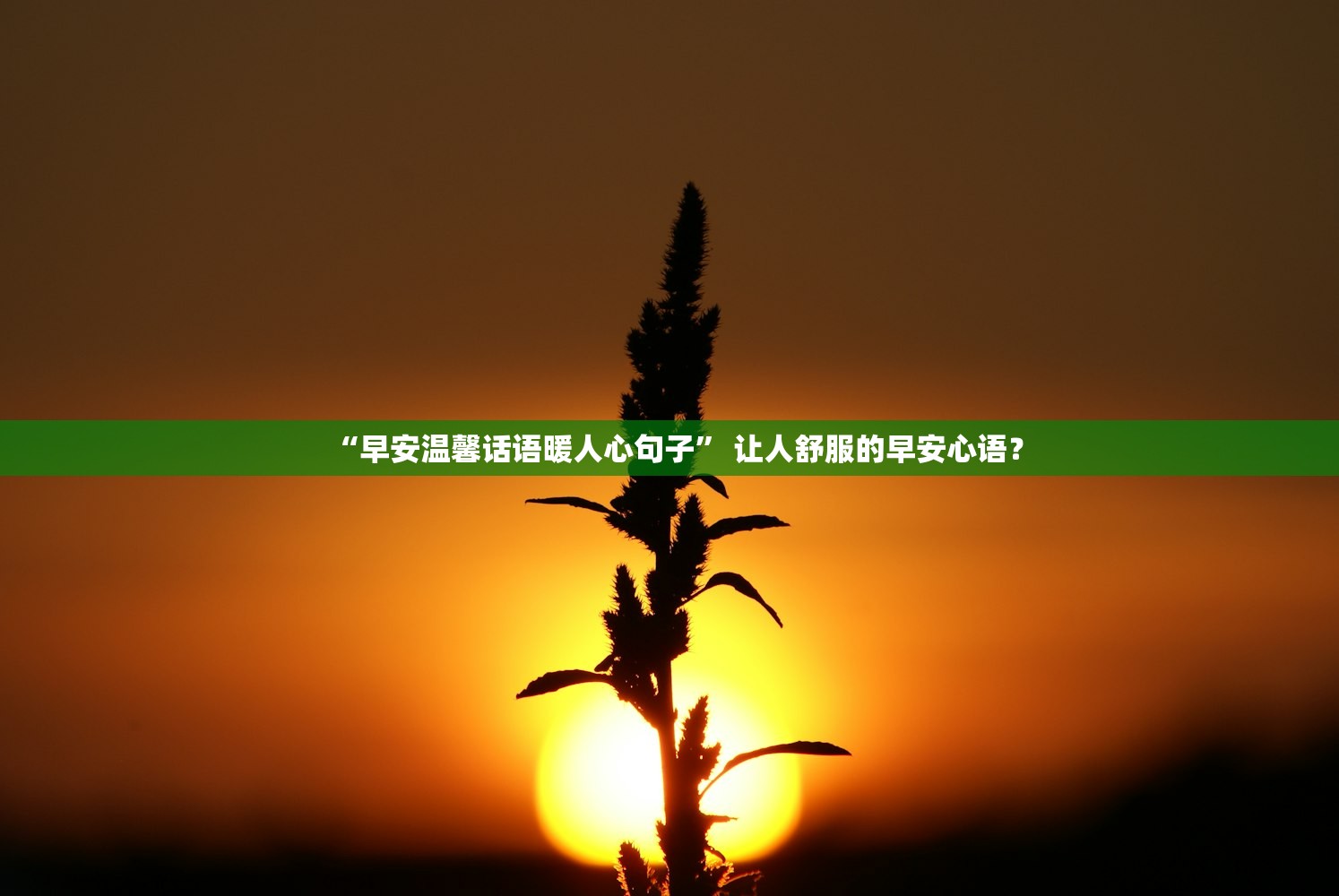 “早安温馨话语暖人心句子” 让人舒服的早安心语？