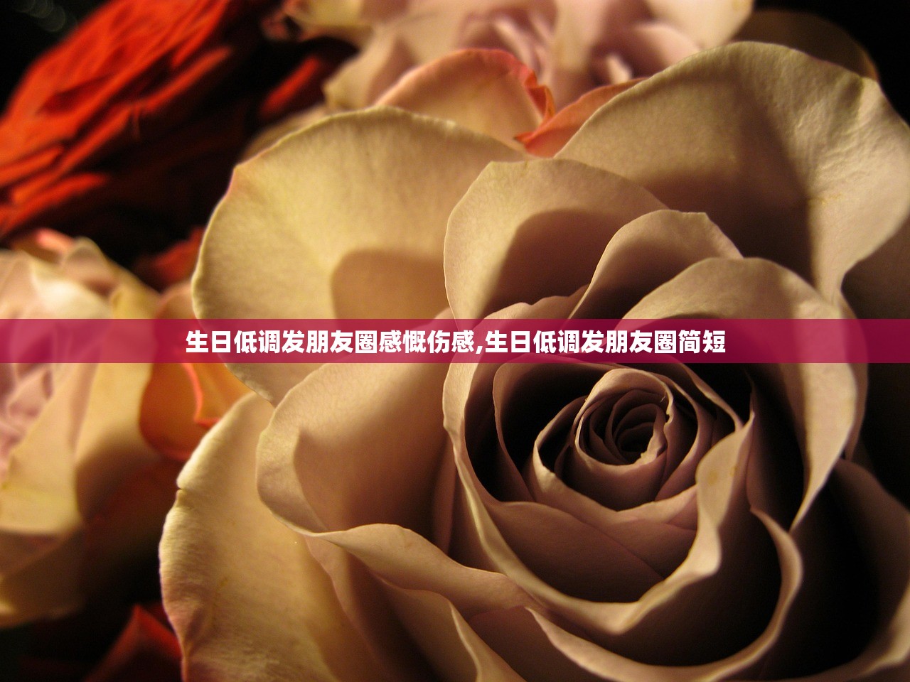生日低调发朋友圈感慨伤感,生日低调发朋友圈简短 生日低调发朋友圈感慨伤感,生日低调发朋友圈简短