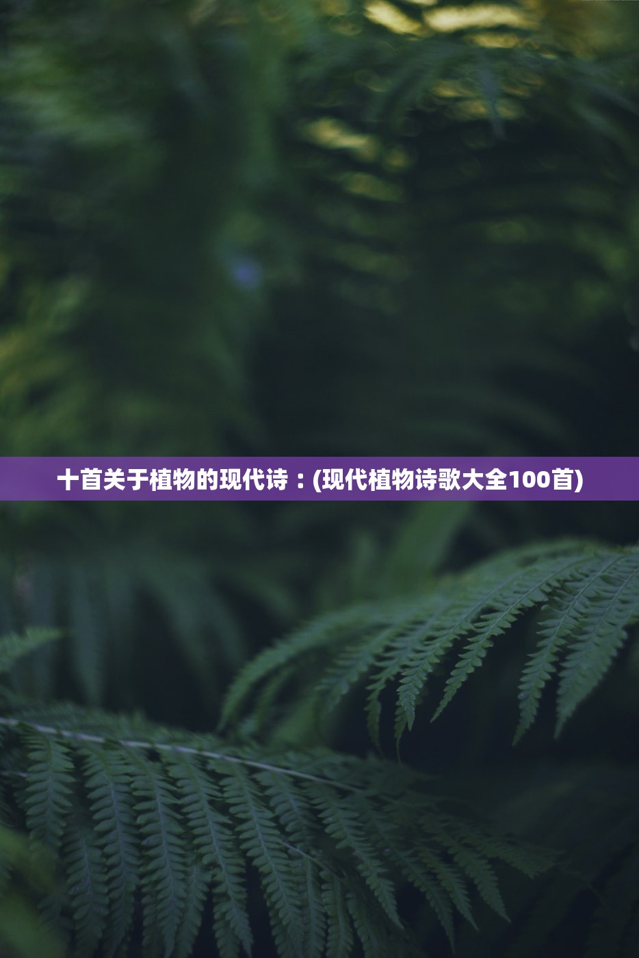十首关于植物的现代诗︰(现代植物诗歌大全100首)