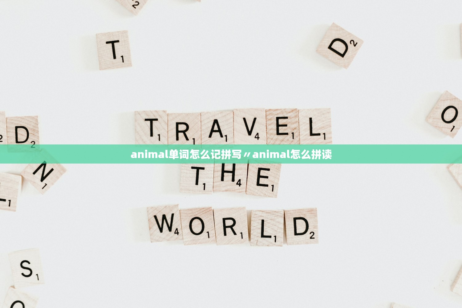 animal单词怎么记拼写〃animal怎么拼读