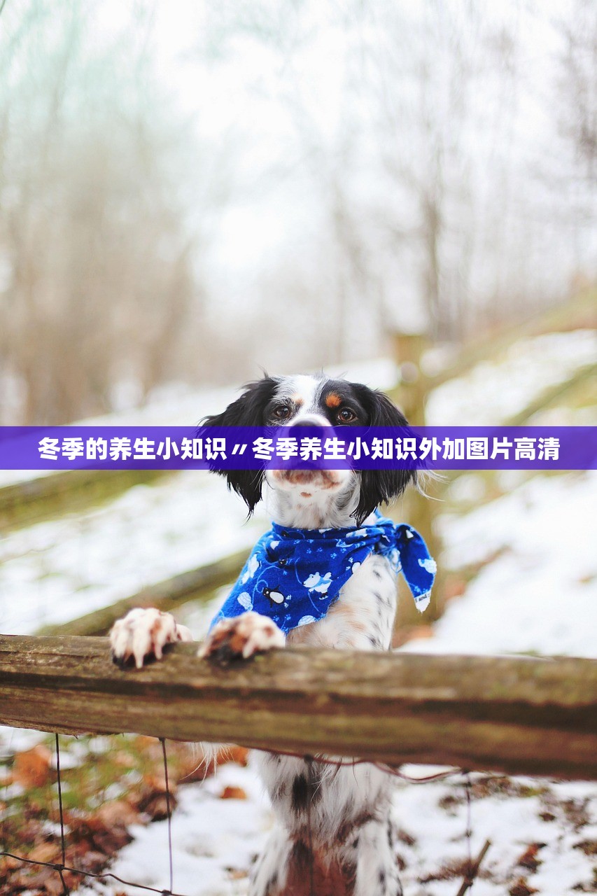 冬季的养生小知识〃冬季养生小知识外加图片高清 冬季的养生小知识〃冬季养生小知识外加图片高清