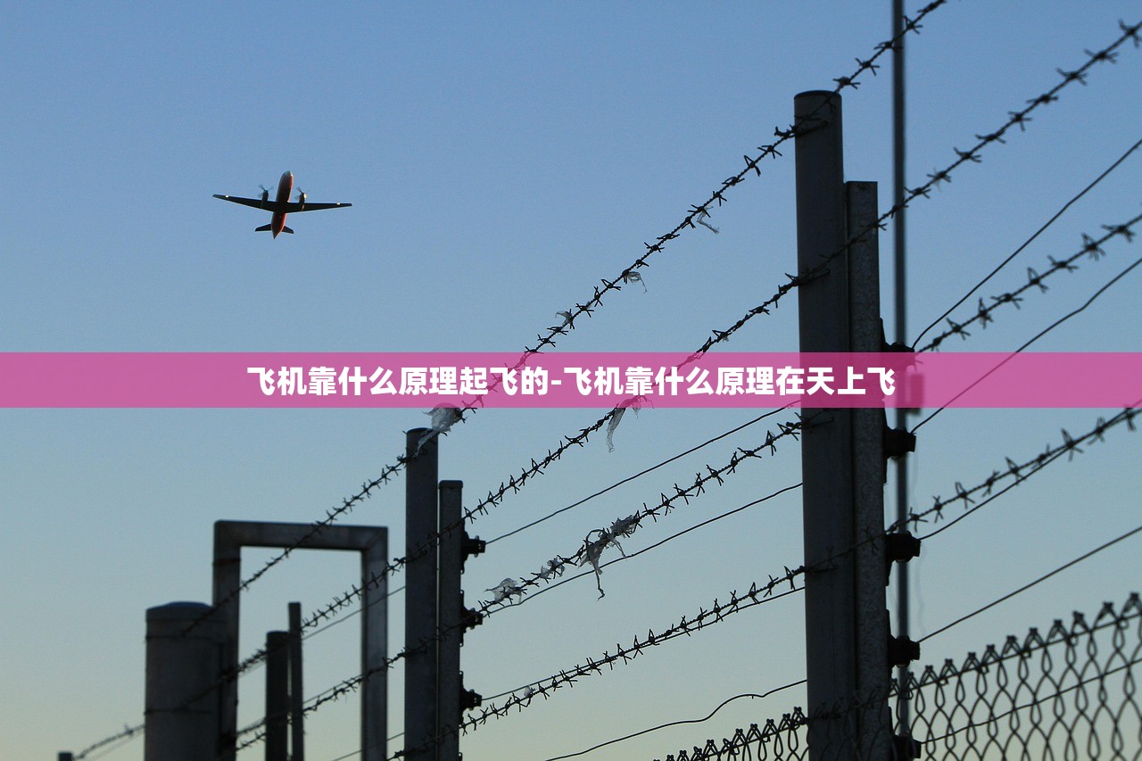 飞机靠什么原理起飞的-飞机靠什么原理在天上飞