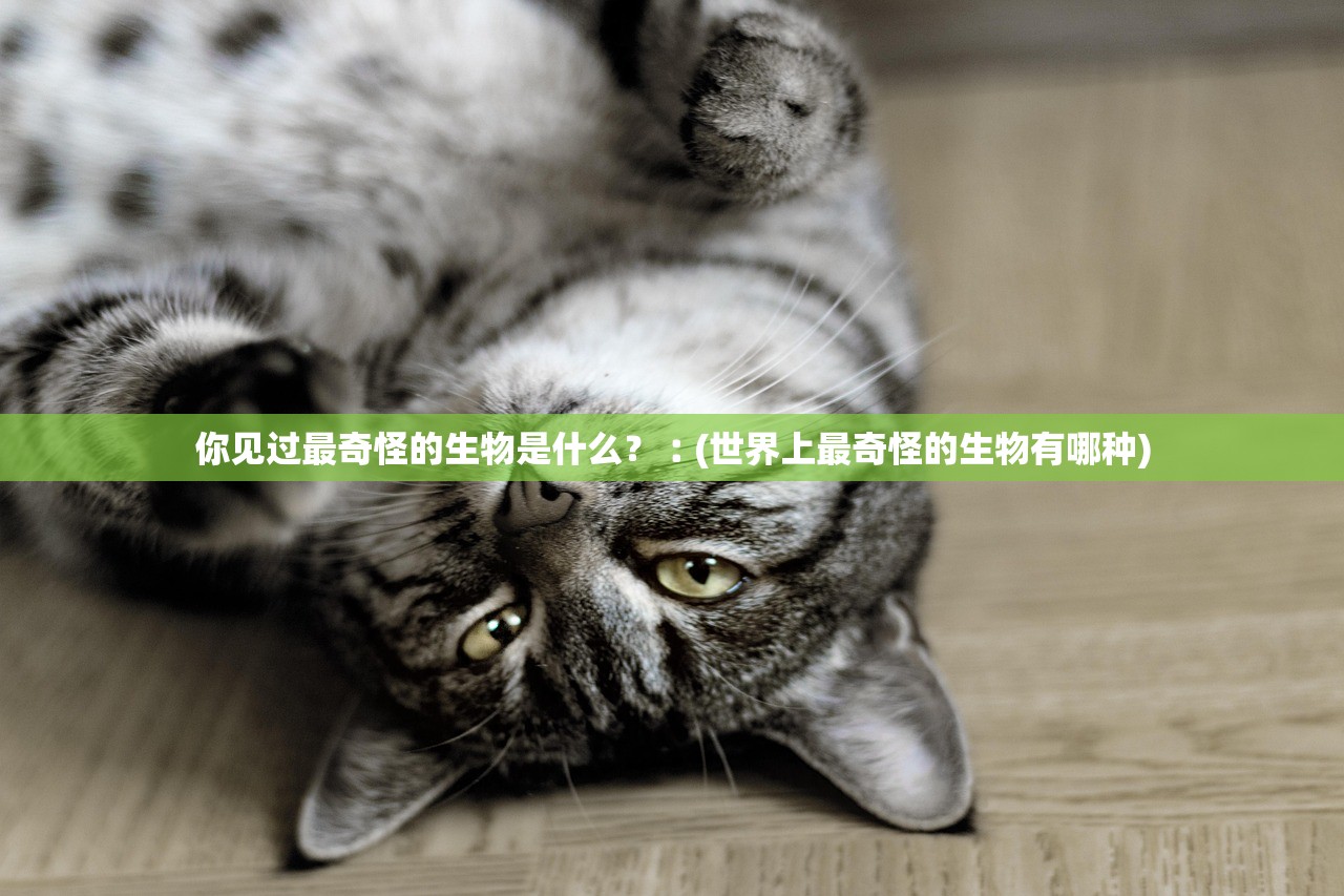 你见过最奇怪的生物是什么?︰(世界上最奇怪的生物有哪种) 你见过最奇怪的生物是什么?︰(世界上最奇怪的生物有哪种)