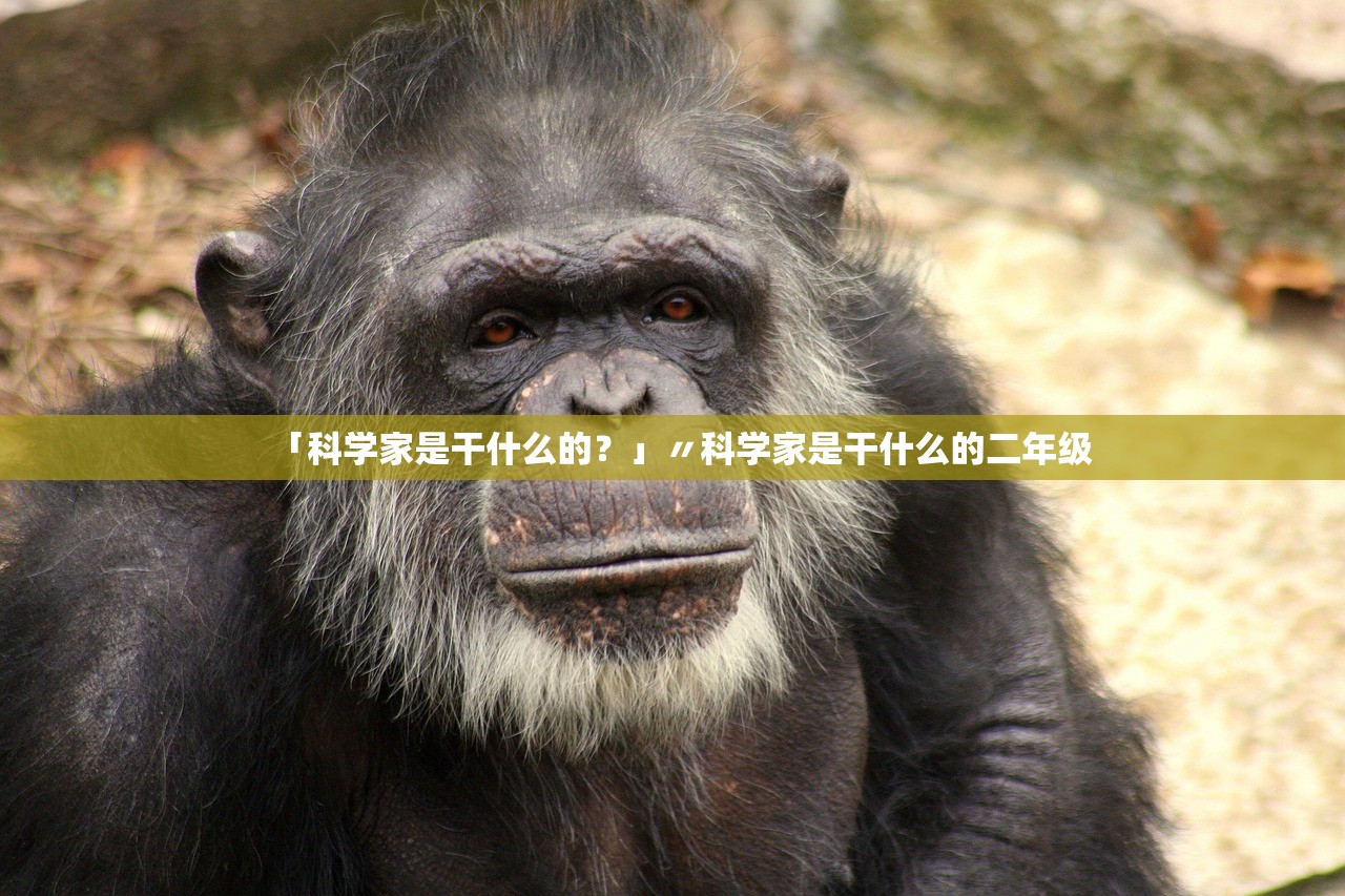 「科学家是干什么的？」〃科学家是干什么的二年级