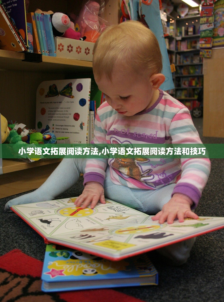 小学语文拓展阅读方法,小学语文拓展阅读方法和技巧