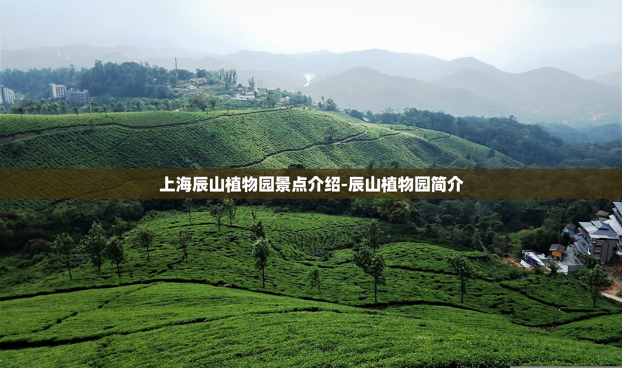 上海辰山植物园景点介绍-辰山植物园简介