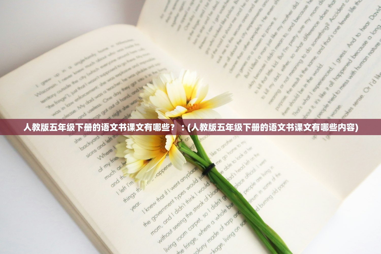 人教版五年级下册的语文书课文有哪些？︰(人教版五年级下册的语文书课文有哪些内容)