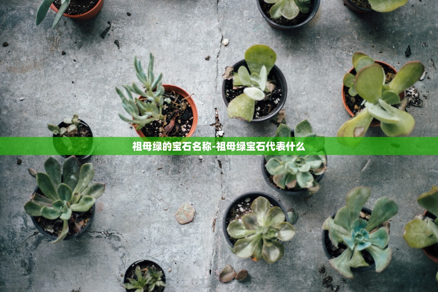 祖母绿的宝石名称-祖母绿宝石代表什么